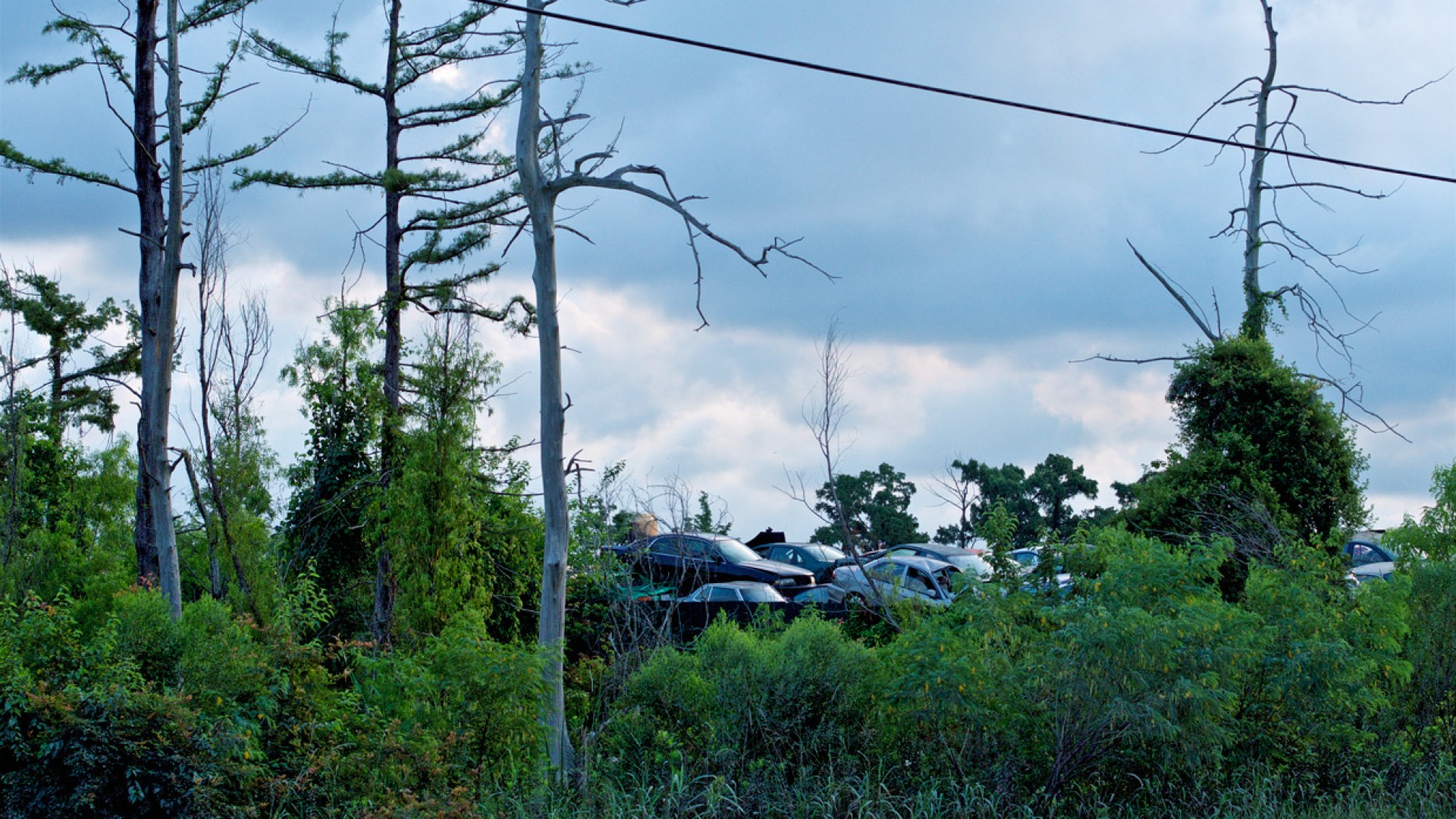Rencontre avec Matthieu Duperrex