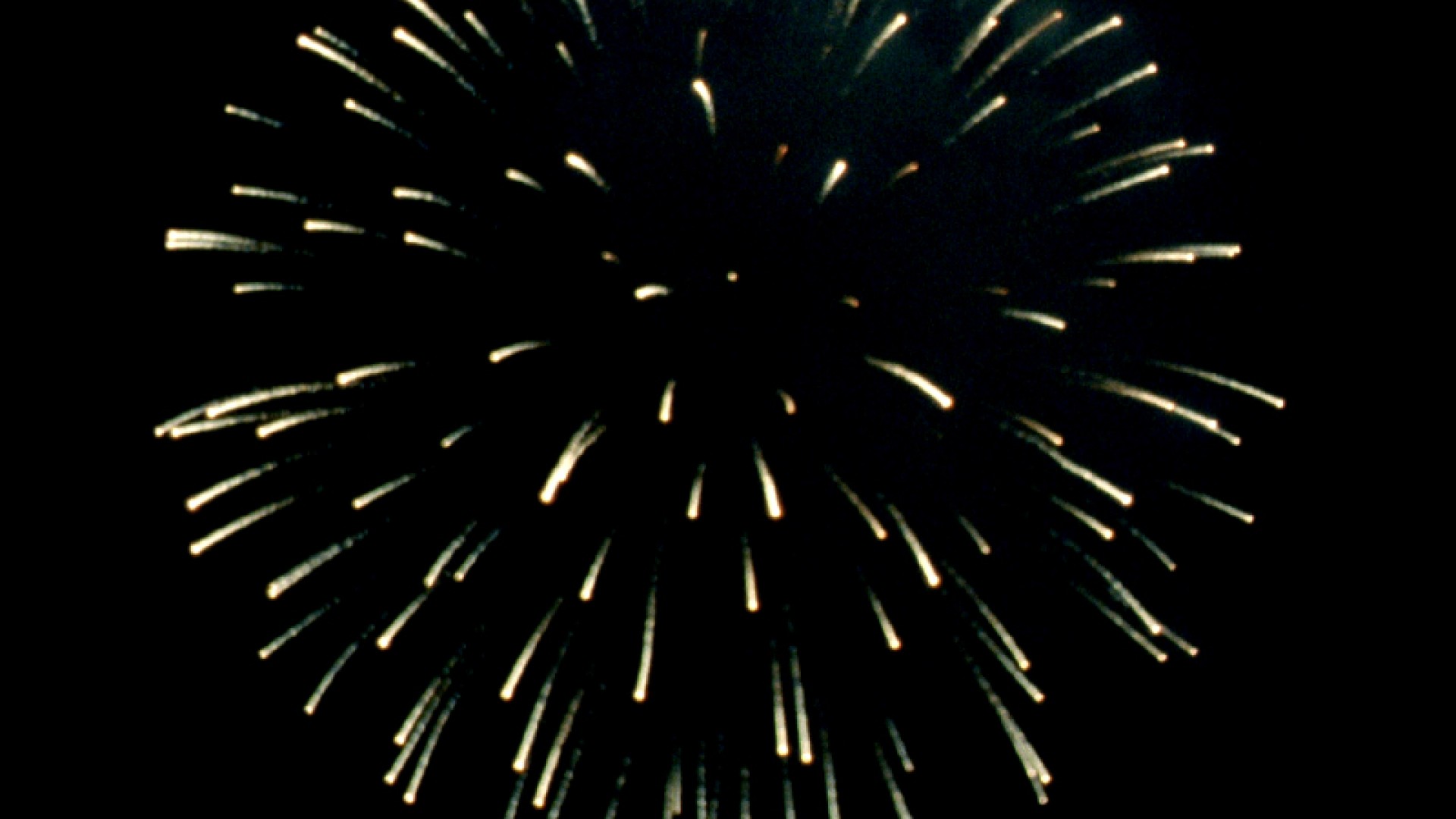 Pour aller plus loin : "Vivre avec la catastrophe"