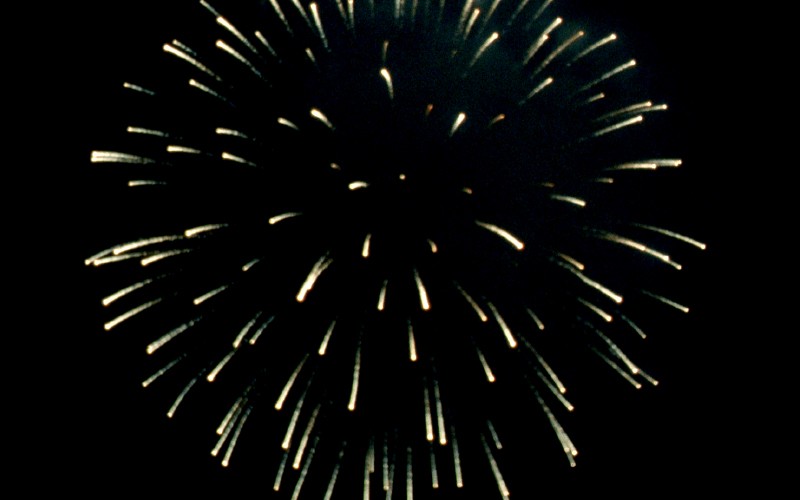 Pour aller plus loin : "Vivre avec la catastrophe"