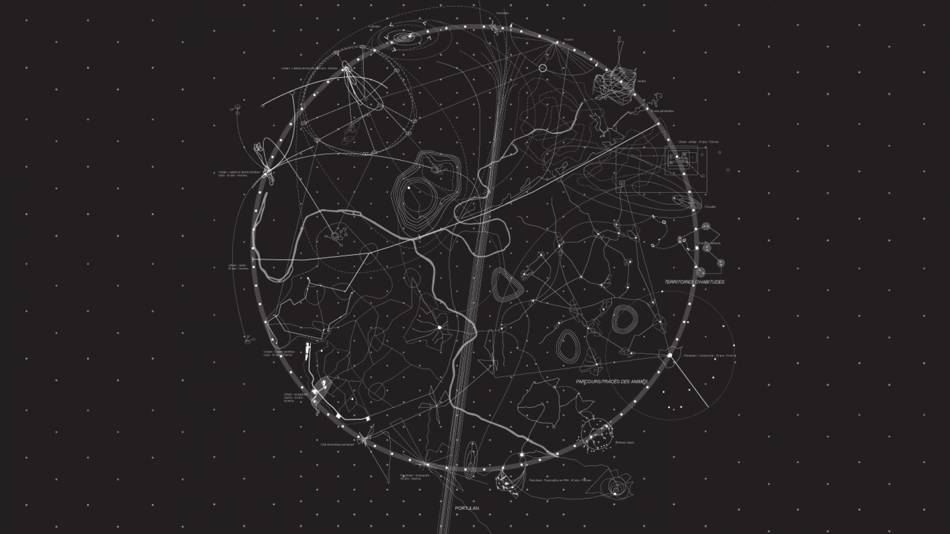 Désorientation-réorientation sonique