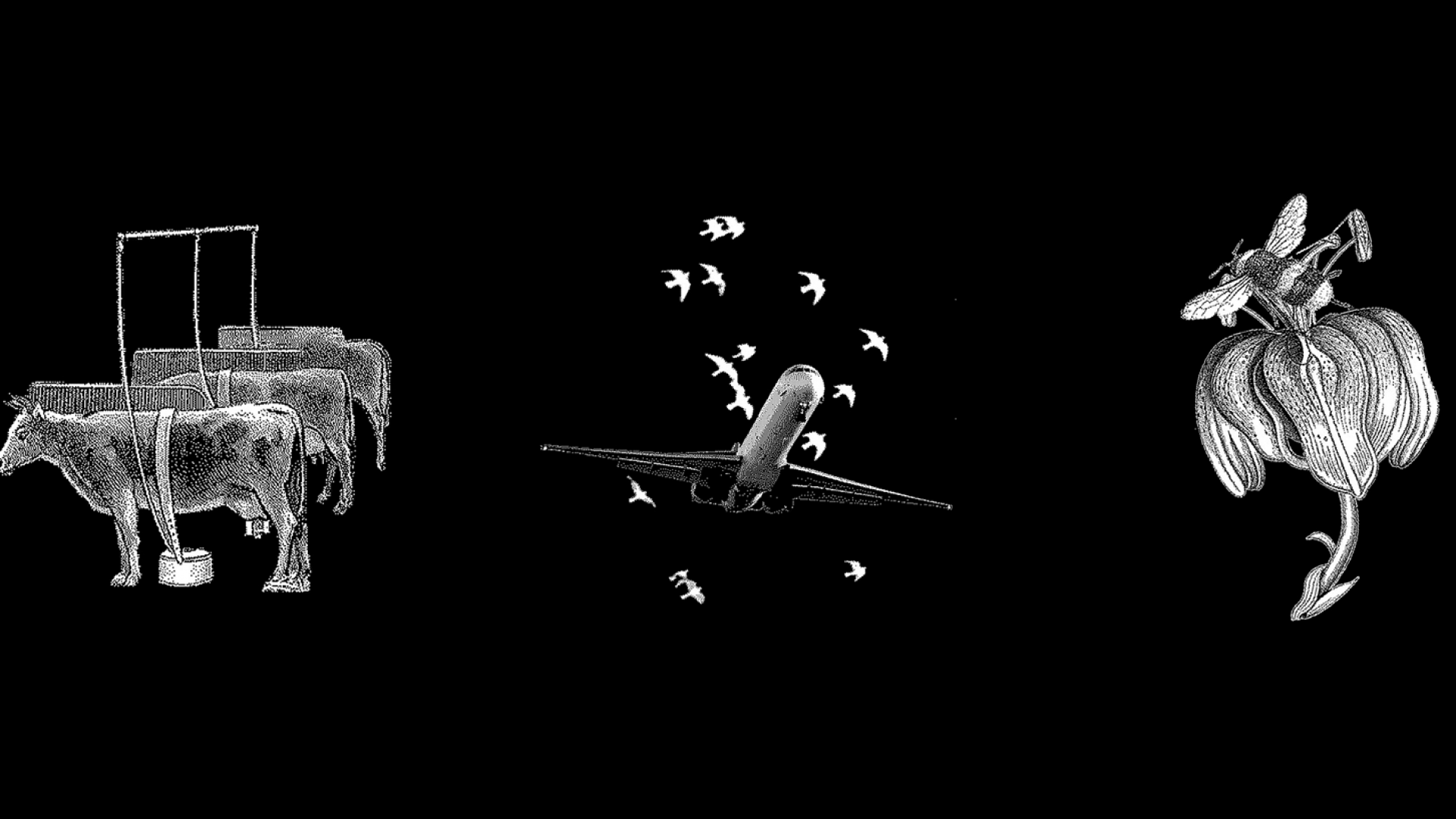 Reprogrammation des imaginaires