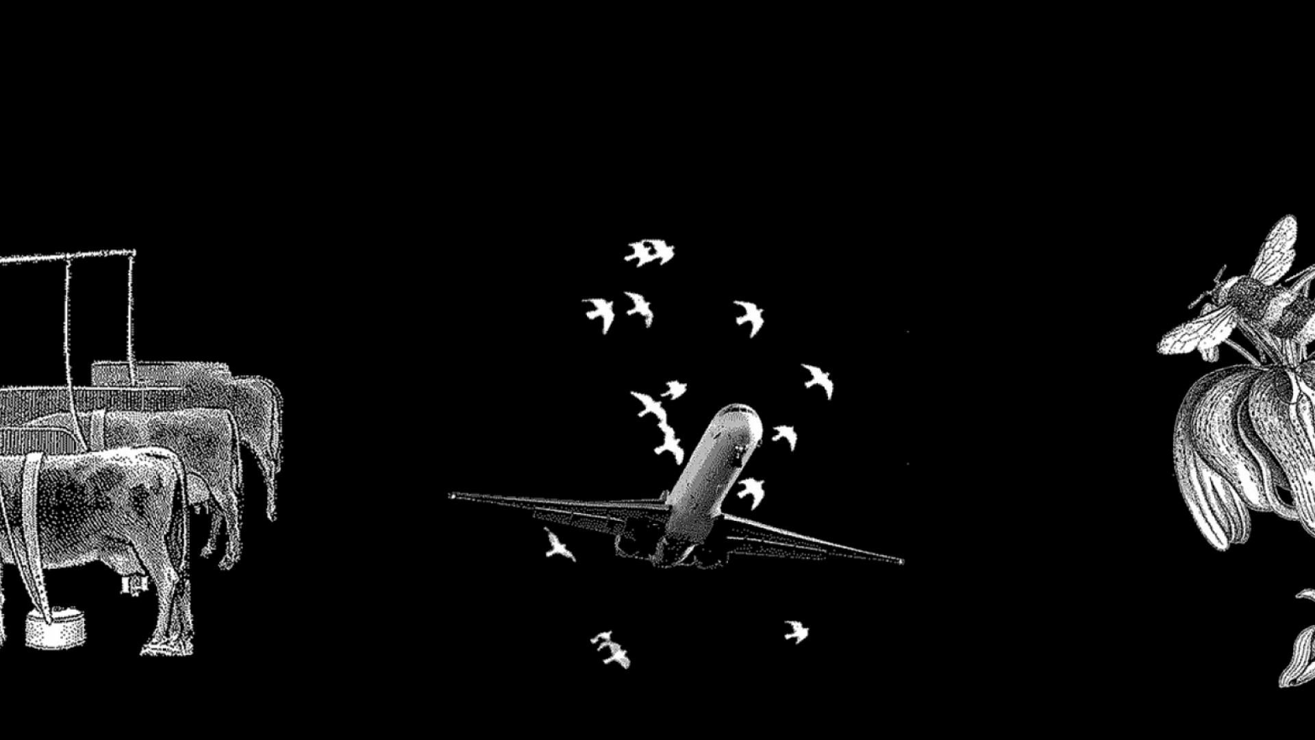 Reprogrammation des imaginaires - Prototypes pour penser l'après-croissance #2