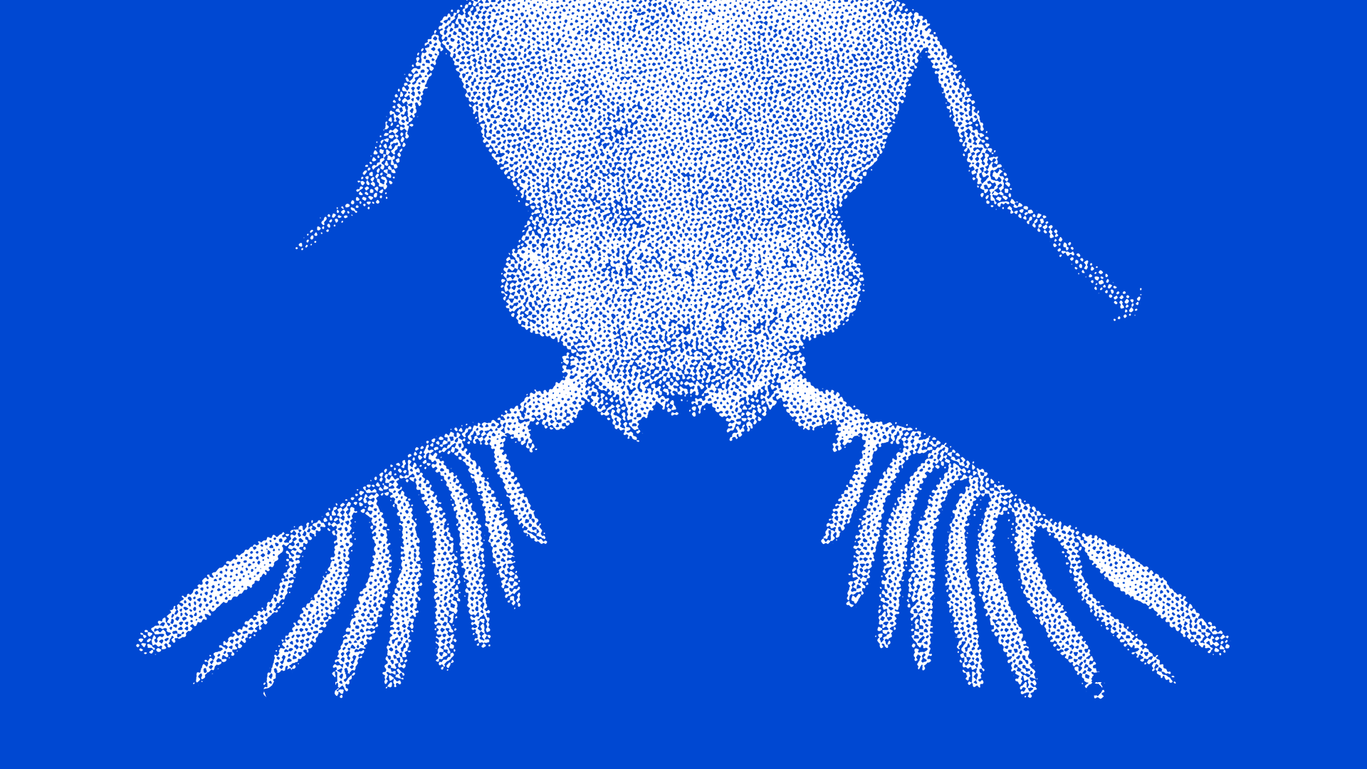 Réaliser un urbanisme sonique - À l’écoute de la vie non humaine - Performances de clôture