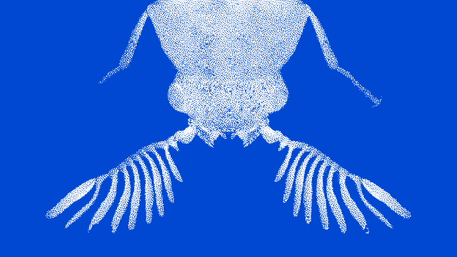 Crafting a Sonic Urbanism: listening to non-human life at Gaîté Lyrique - Performances