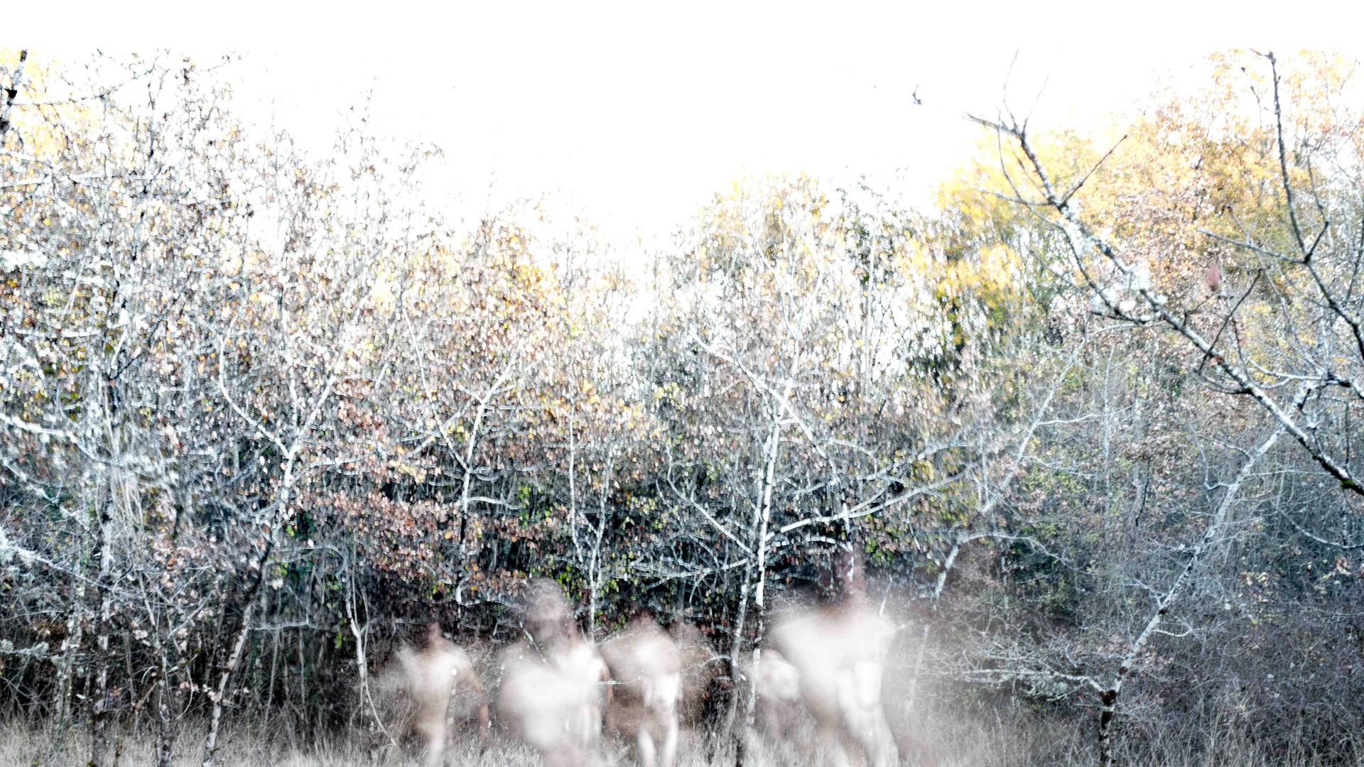 Sur les traces de XPUJIL, par Nova Materia