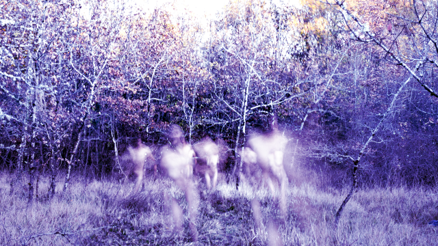 Sur les traces de XPUJIL • Nova Materia invite Gaspar Claus