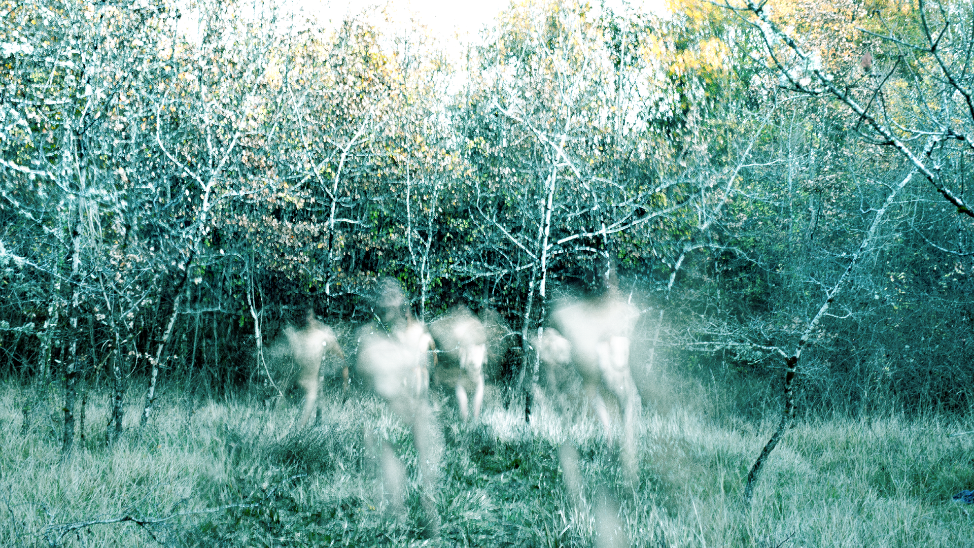 Sur les traces de XPUJIL • Nova Materia invite Myako