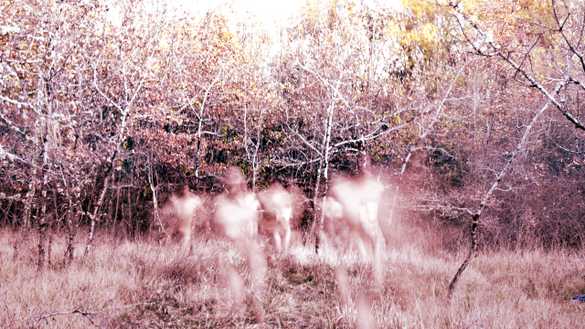 Sur les traces de XPUJIL • Nova Materia invite Cosmic Neman