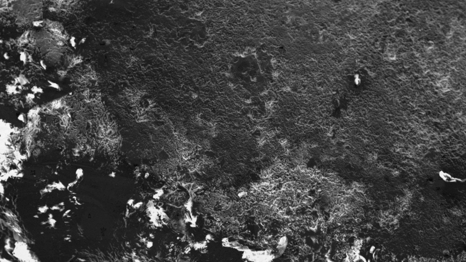 Portfolio #4&nbsp;: Délier les langues