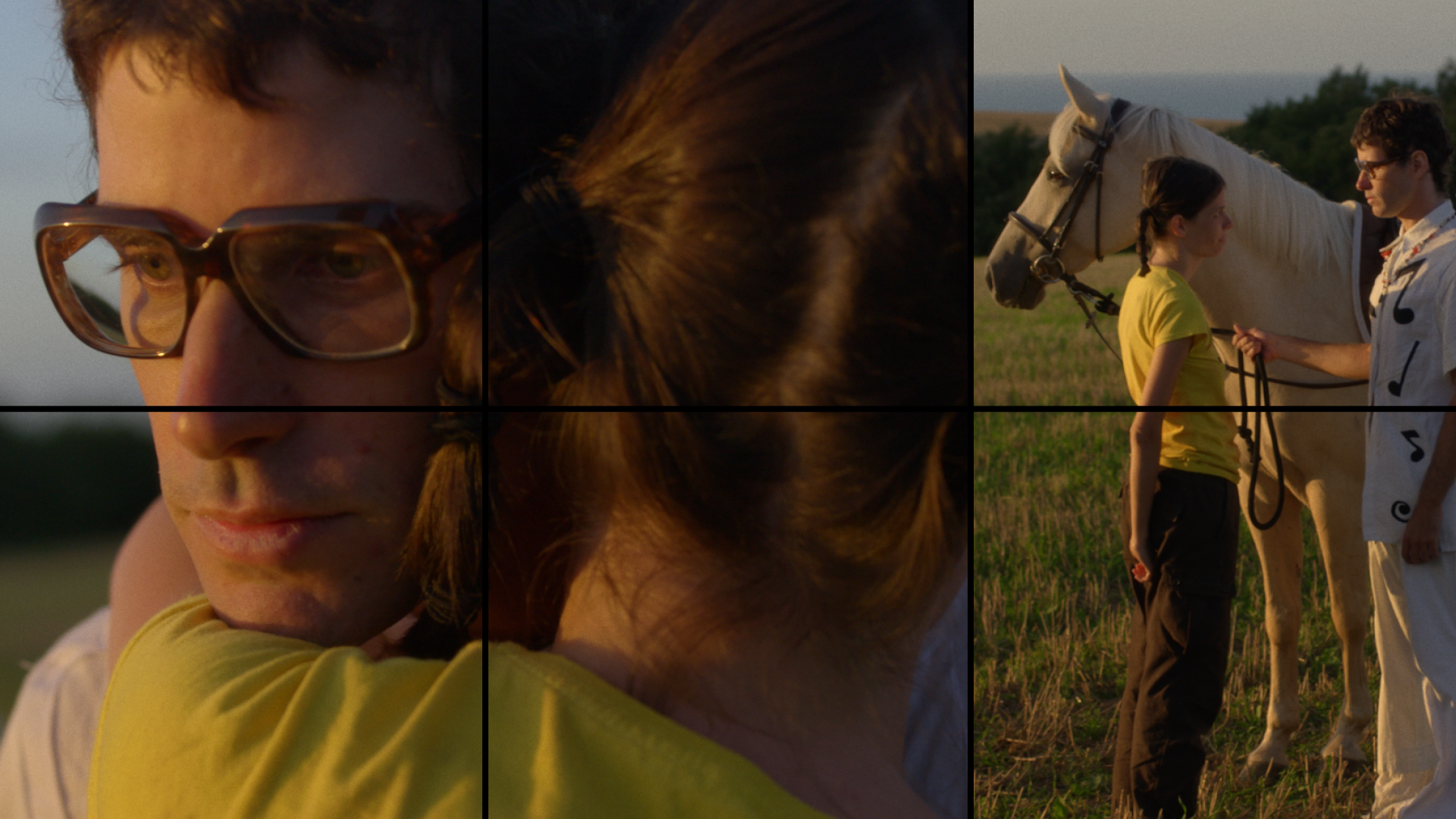 The Sound Of Metamorphosis