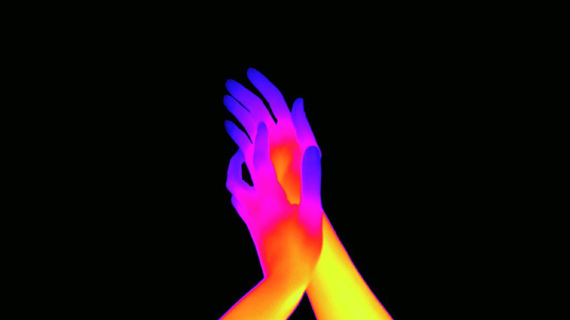 Portfolio #5&nbsp;: Pratiques et pensées de la métamorphose