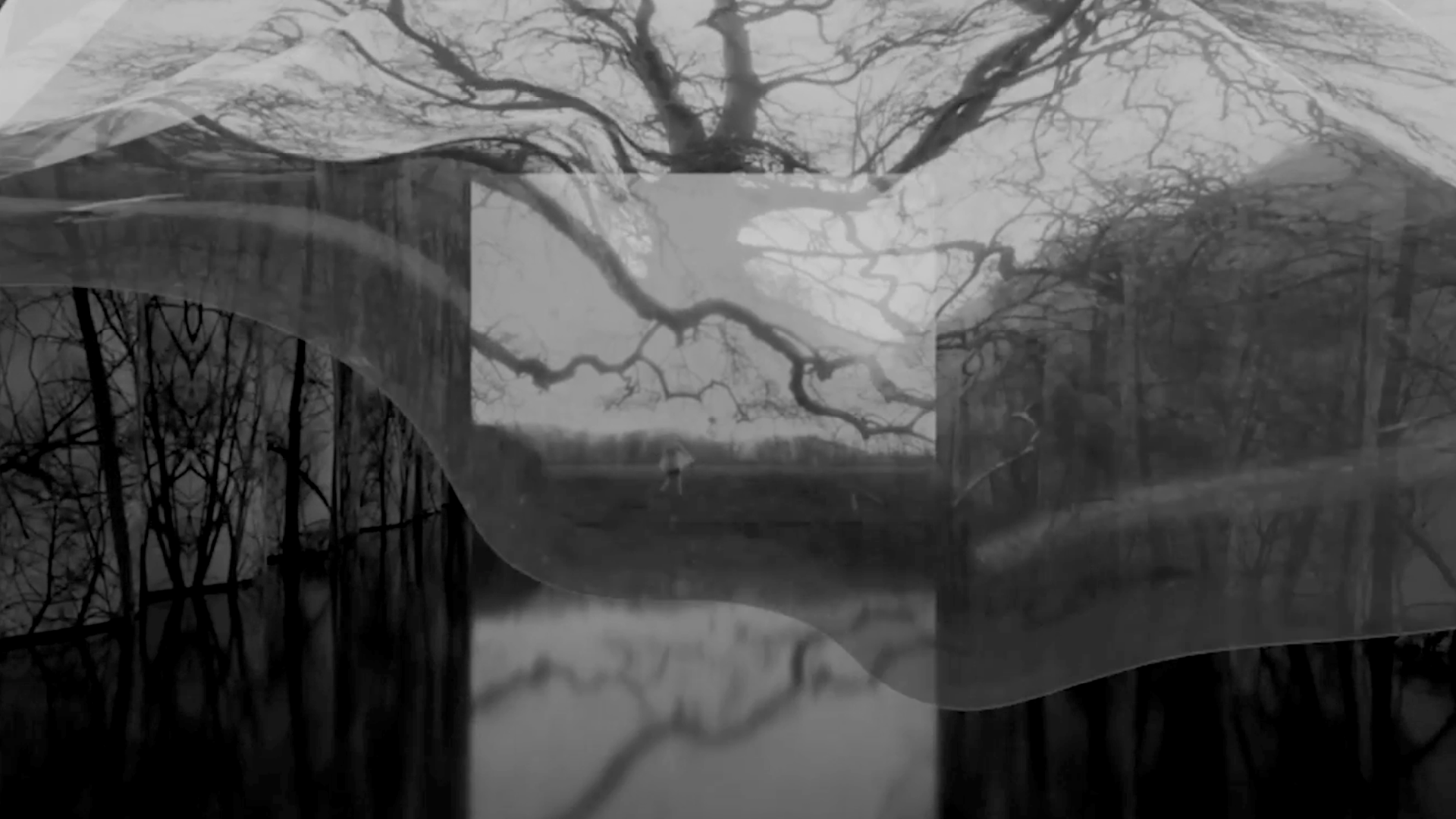 Portfolio #3&nbsp;: (Dé)voiler nos rêves