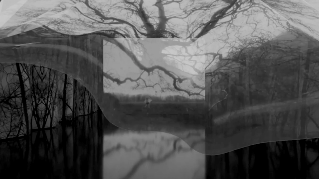 Portfolio #3&nbsp;: (Dé)voiler nos rêves