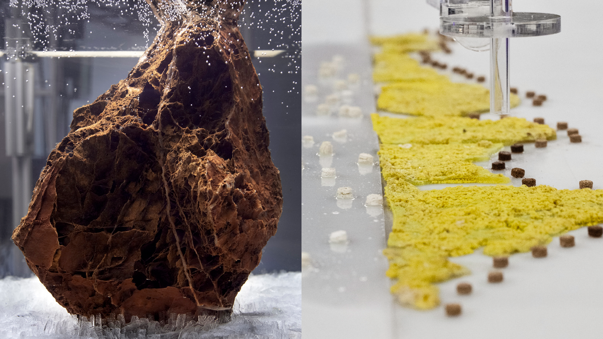 Portfolio #4&nbsp;: Rencontres d’un nouveau type