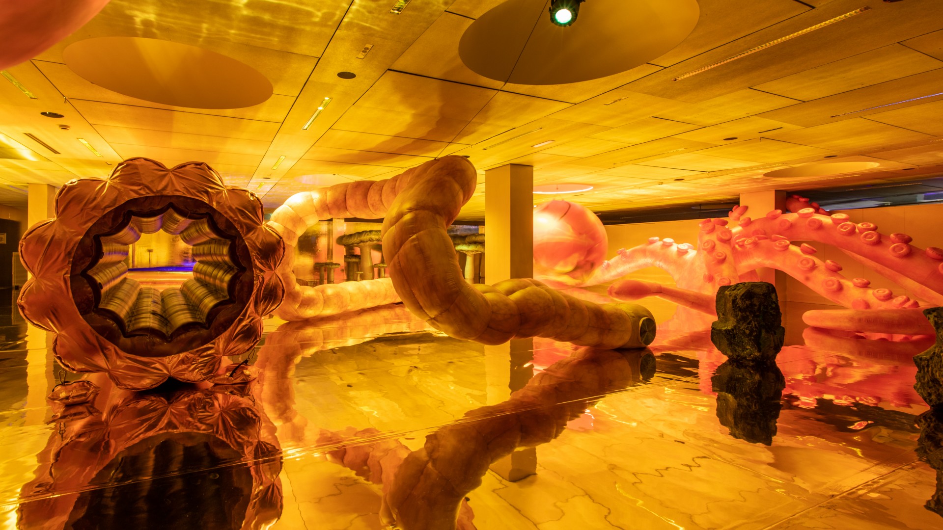 Shiny Gold – Nelly Ben Hayoun