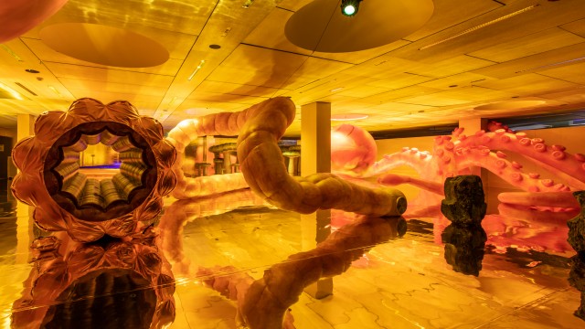 Shiny Gold – Nelly Ben Hayoun