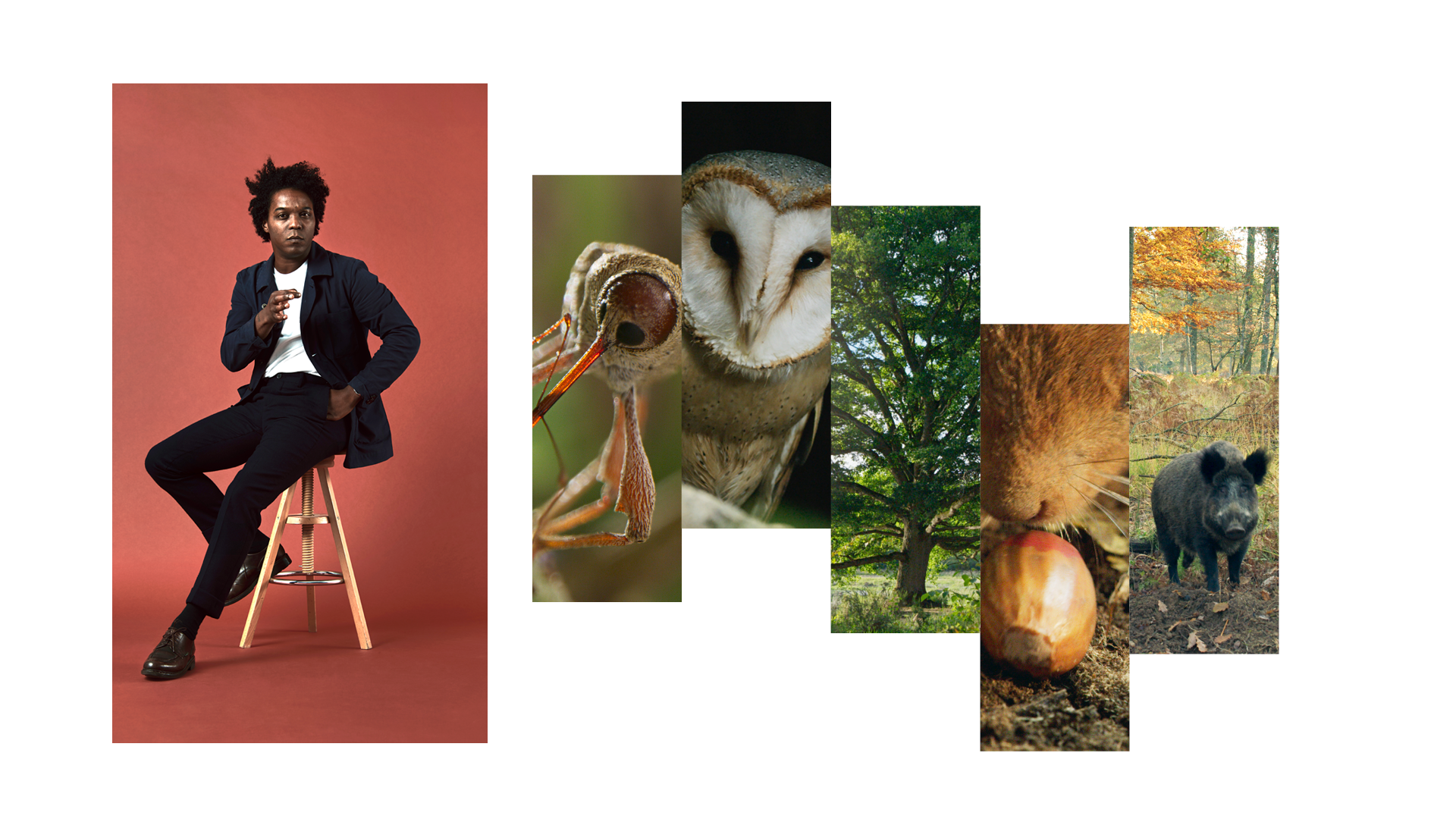 Le ciné-club de Chassol&nbsp;: "Le Chêne"