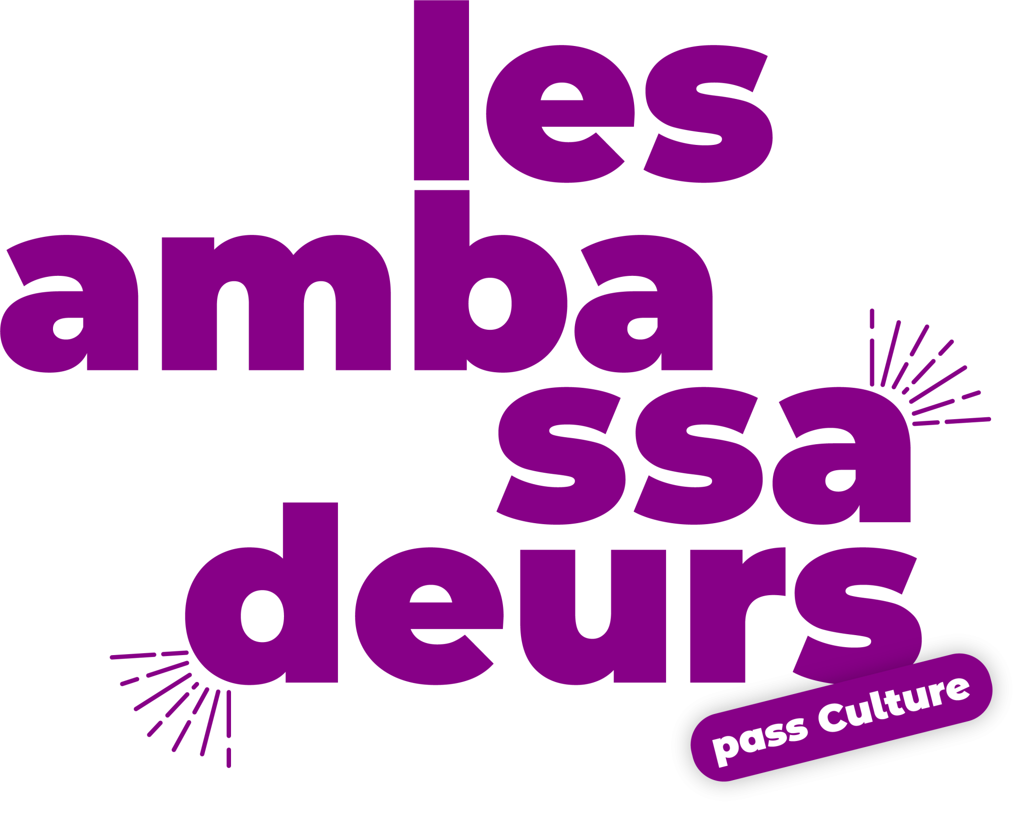 ambassadeurs