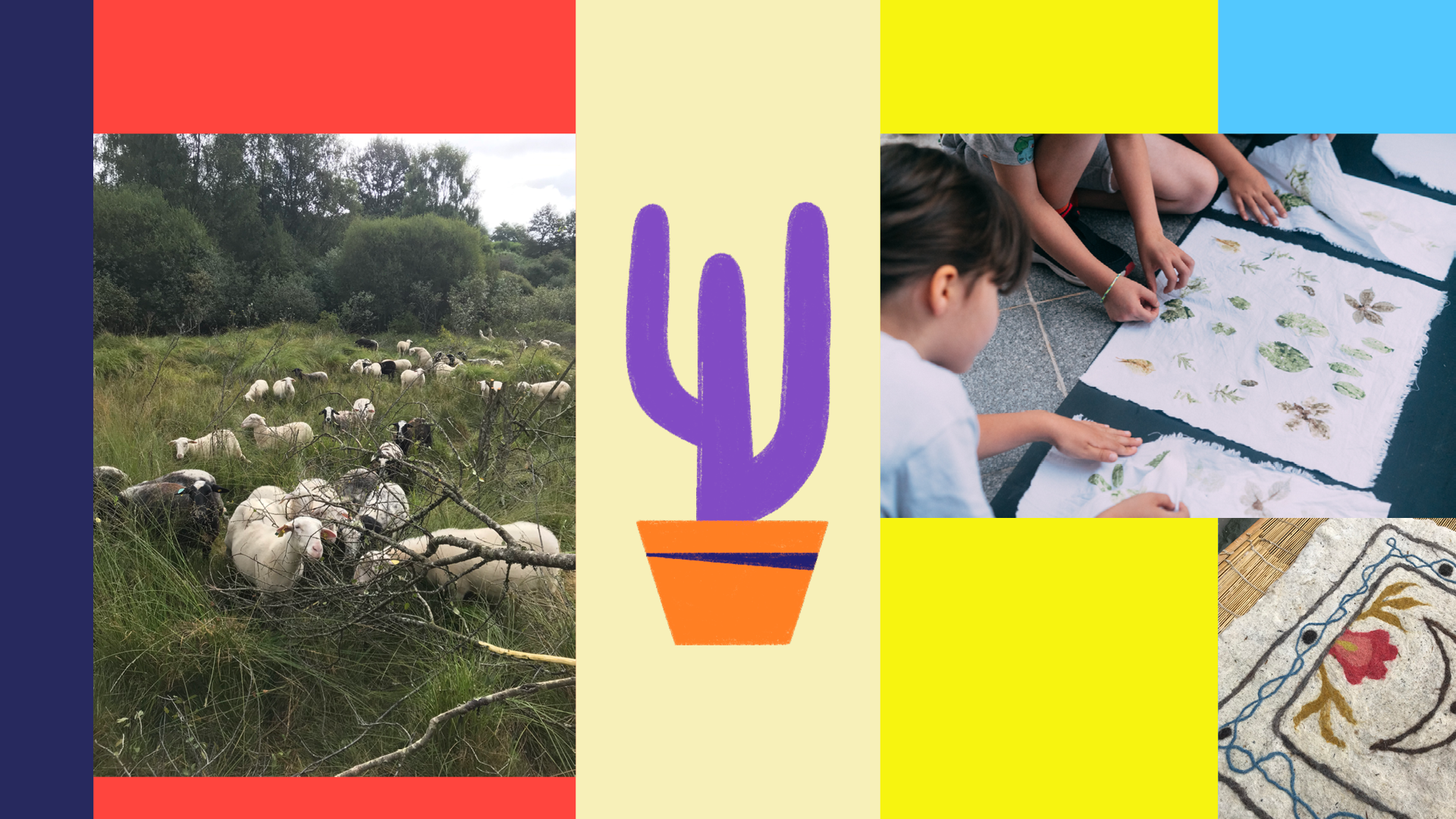 Initiation à la laine feutrée&nbsp;!