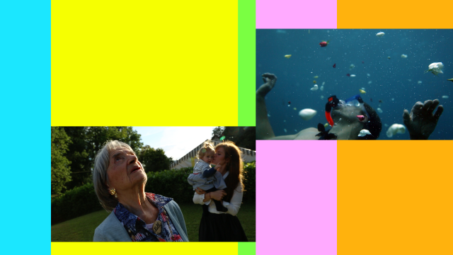 Hors Cadre - avec Sandrine Chenivesse